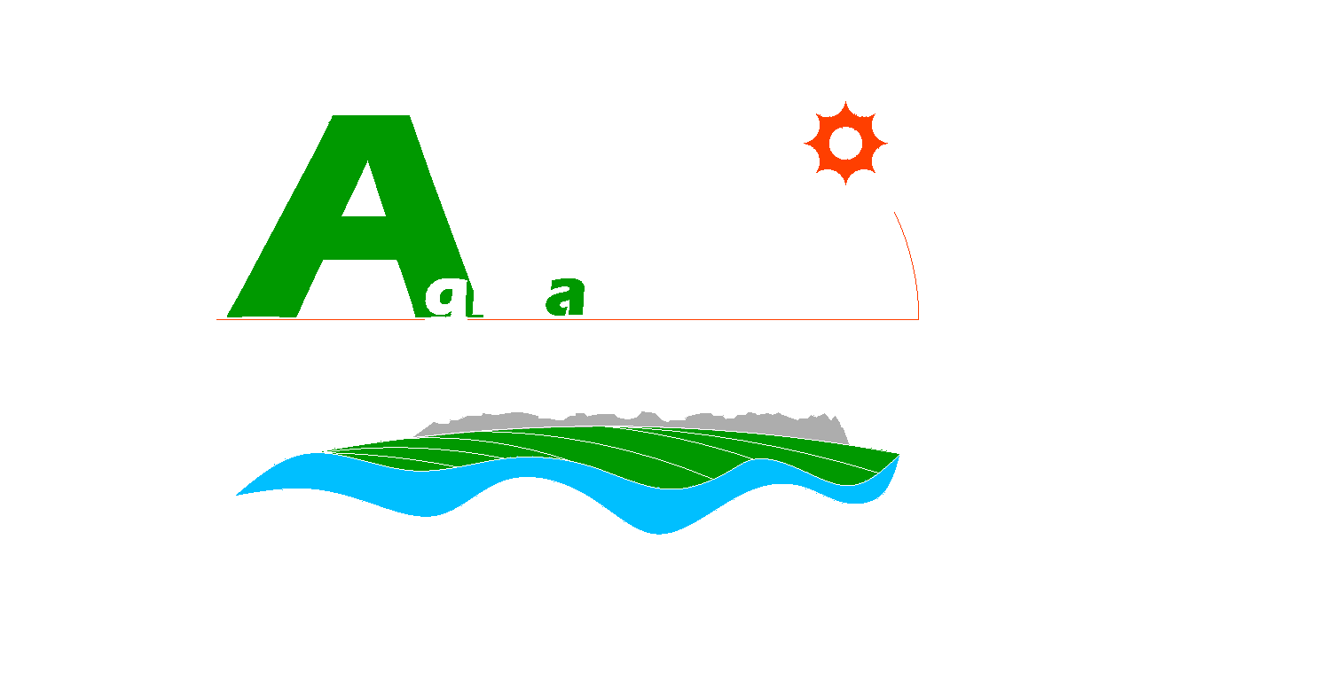 Inicio